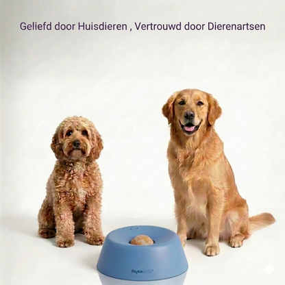 PawPuzzle™ – Interactieve Voerkom voor Mentale Stimulatie