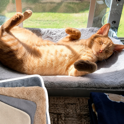 SnuggleNest – Opvouwbare Kattenhangmat