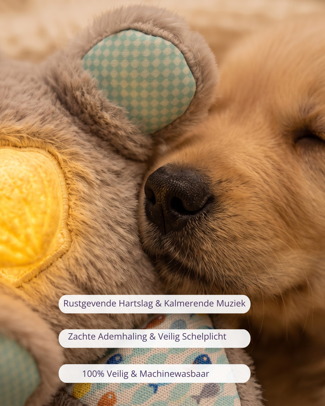LumiPaws™ SnoozeOtter – Kalmerende Ademknuffel Met Hartslag